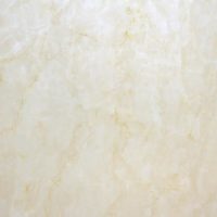 SSK-MJ88062P