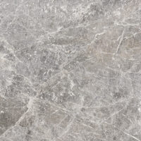 Tundra Grey