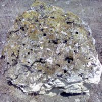 Степной Краснодарский